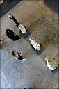 2025-07-2122_IT_Troya_55-516026.jpg