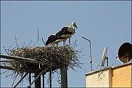 2025-07-2729_IT_Ephes-01-8415.jpg
