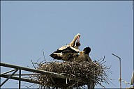 2025-07-2729_IT_Ephes-02-8421.jpg