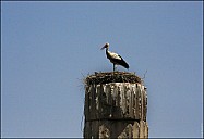 2025-07-2729_IT_Ephes-26-8499.jpg