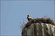2025-07-2729_IT_Ephes-27-8522.jpg