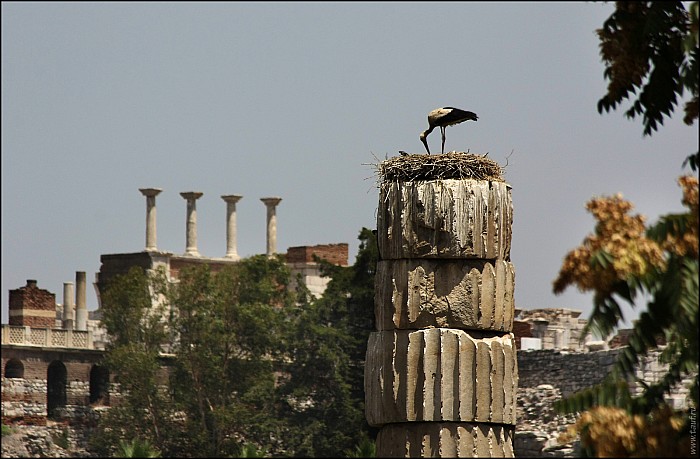 2025-07-2729_IT_Ephes-24-8524-abc.jpg: 1600x1049, 403k (2025-10-04, 17:43)