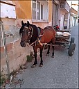 2025-07-2x_IT_Pergam-06-468.jpg