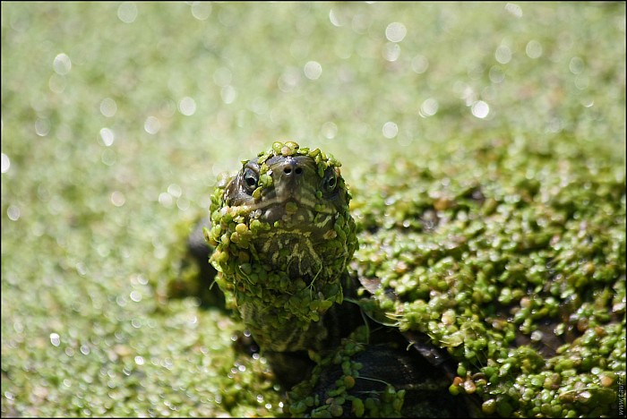 2025-07-2x_IT_Pergam-73-8111-abc.jpg: 1600x1069, 403k (2025-10-04, 17:39)