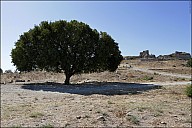 2025-07-30_IT_Mileth-59-7116.jpg