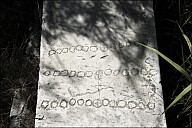 2025-07-30_IT_Mileth-61-7096.jpg