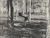 FA-08-Lili-057.jpg