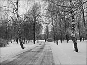 2020-12-2020-Kolomenskoe-December-02-150304.jpg