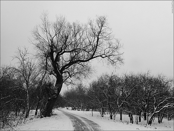 2020-12-2020-Kolomenskoe-December-06-150313-abc.jpg: 1599x1200, 722k (2020-12-18, 17:18)