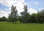 2020-06-07-Kolomenskoe-03-6070231.jpg