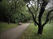 2020-09-10-Kolomenskoe-September-05-9101209-abc.jpg