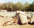 20010u.jpg