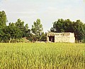 20083u.jpg