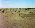 20101u.jpg