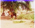 20135u.jpg
