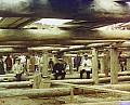 21460u.jpg