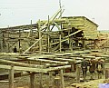 21461u.jpg