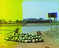 21632u.jpg