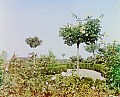 21705u.jpg