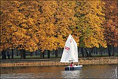 2011sel-08.jpg: 1000x668, 396k (2013-11-06, 20:28)