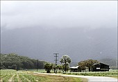 2012sel-Australia-22.jpg: 950x658, 181k (2013-11-06, 20:33)