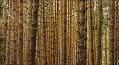 15Textures-01-abc.jpg: 1280x705, 715k (2016-12-02, 21:02)